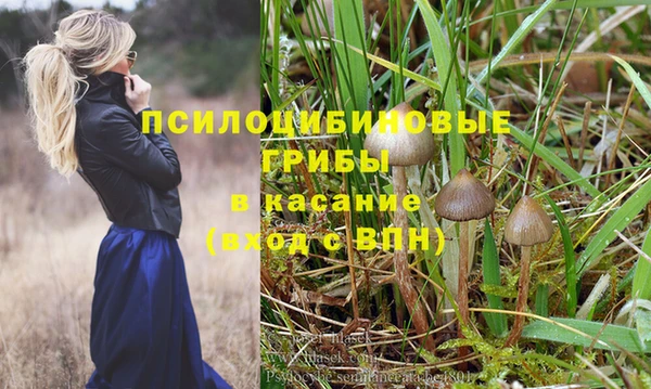бутират Арсеньев