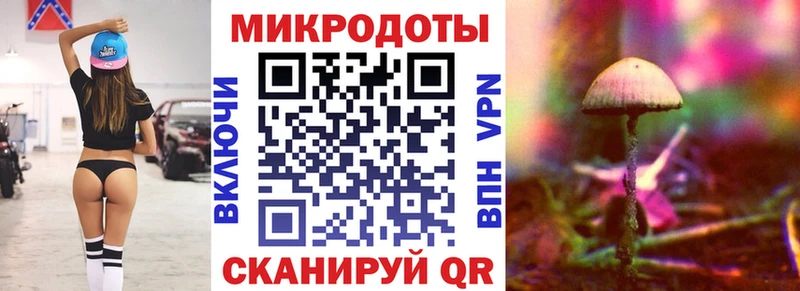 Галлюциногенные грибы Psilocybine cubensis  Купить  Киреевск 
